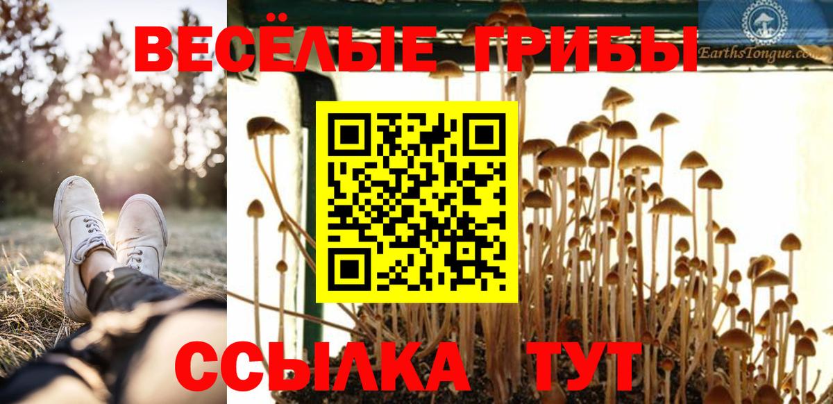Галлюциногенные грибы Magic Shrooms  Псилоцибиновые грибы мухоморы  Сургут  Вход с VPN 